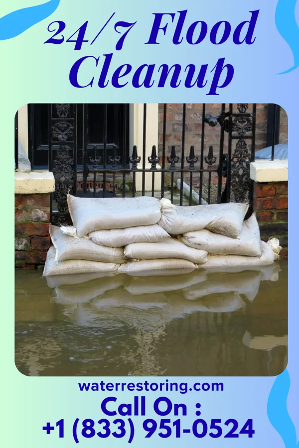 24/7 Flood Cleanup in Liberty City, TX
